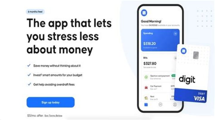 How Much Does digit cost