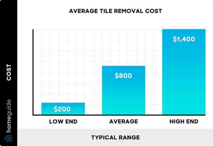 How much does dust free tile removal cost