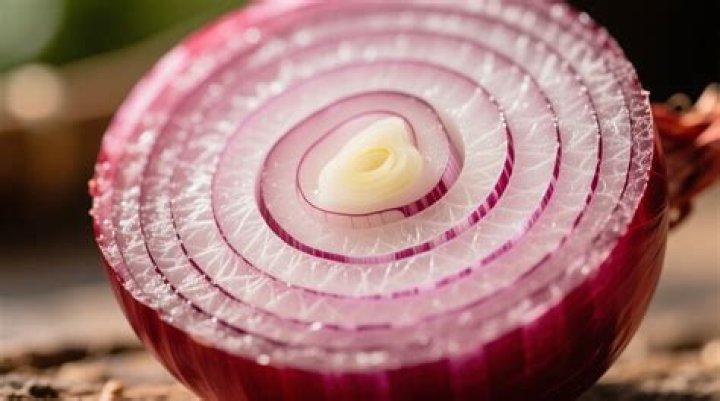 How much fiber is in a Red Onion