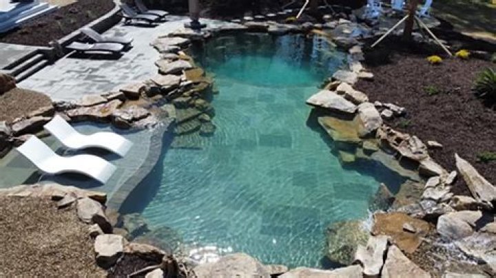 How much is a natural swimming pool