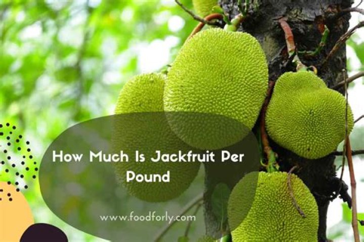 How much is jackfruit per pound
