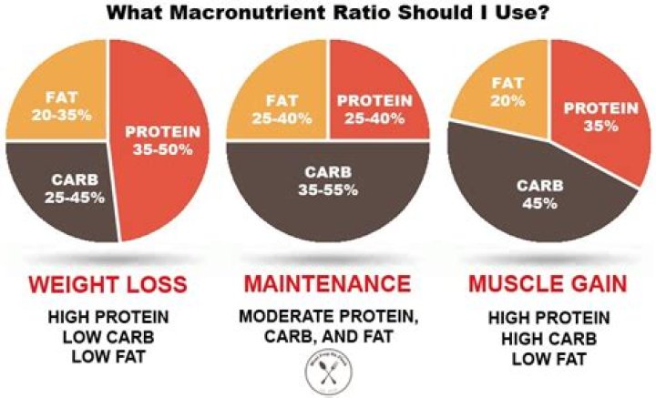 How much macronutrients should be in a balanced meal