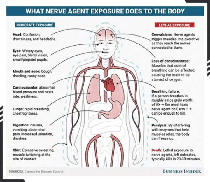 How quickly does sarin gas kill