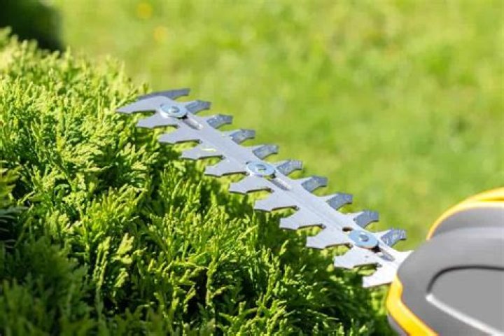How thick can hedge trimmers cut