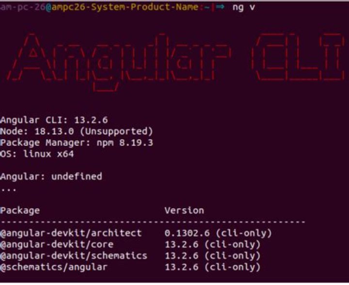 How use angular CLI in existing project