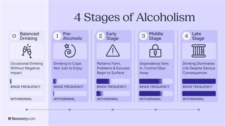 Is alcoholism a medical term