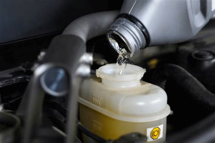 Is brake fluid harmful to dogs