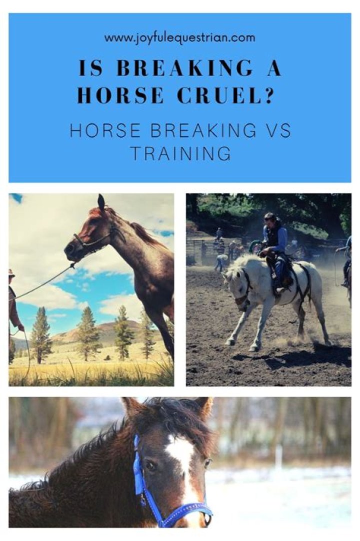 Is breaking a horse cruel