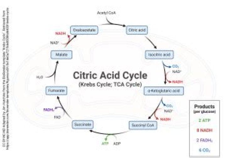 Is citric acid very acidic