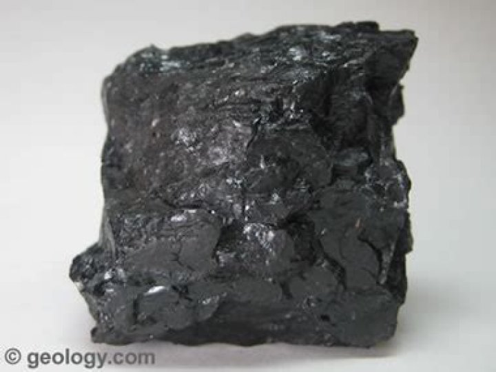 Is coal a sedimentary rock