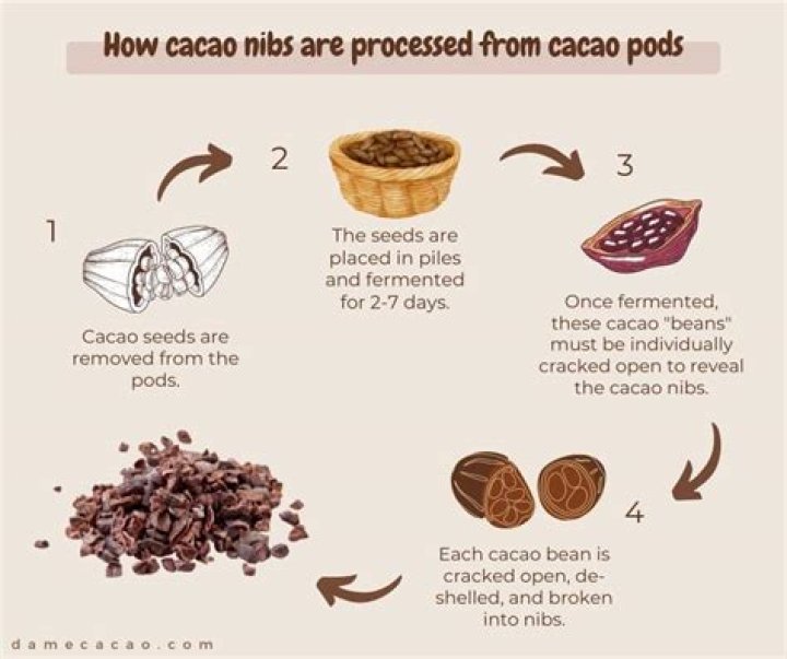 Is cocoa bad for your face