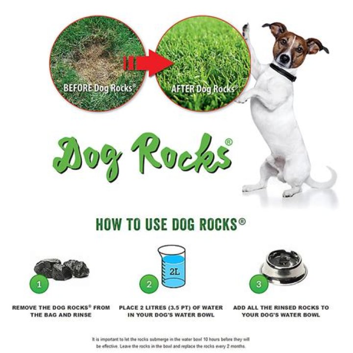 Is Dog Rocks safe for dogs