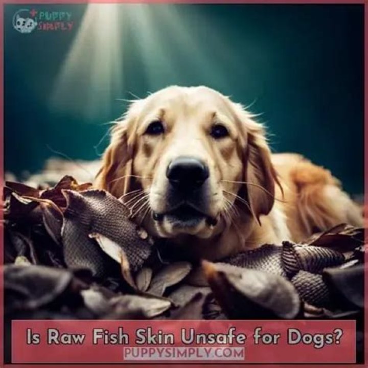 Is fish skin safe for dogs