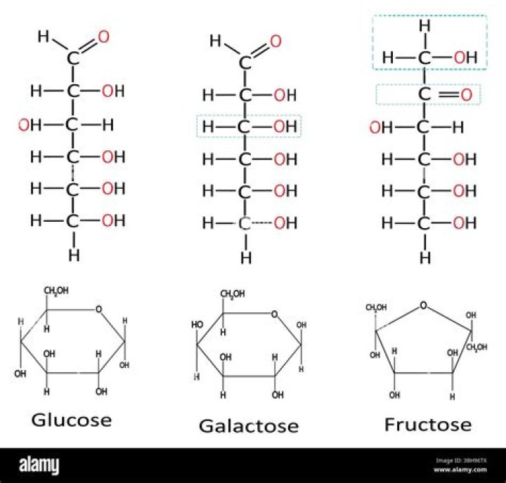 Is galactose a carbohydrate