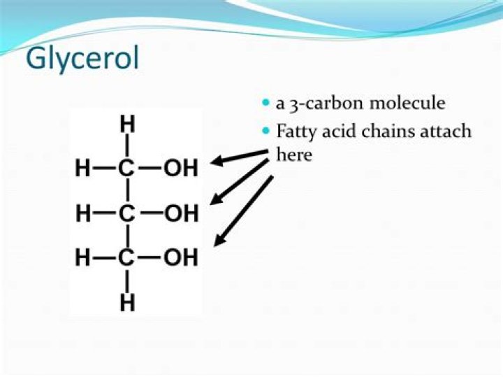Is glycerol a carb