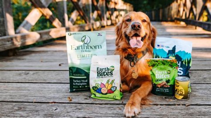 Is holistic dog food better