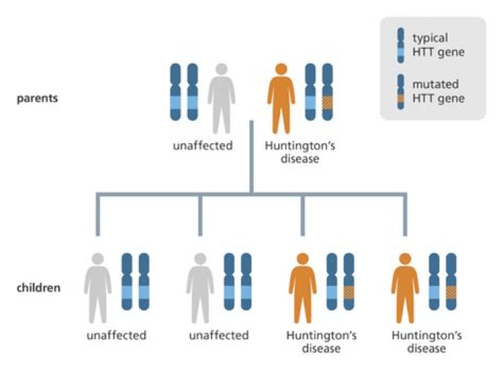 Is Huntingtons disease recessive or dominant
