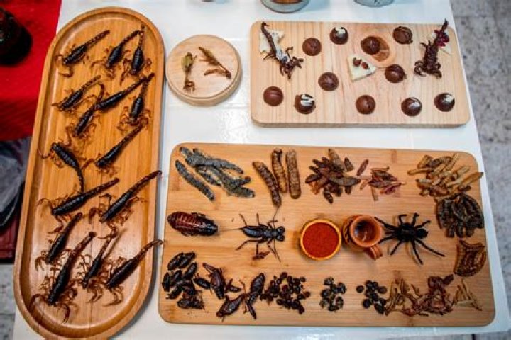 Is it dangerous to eat bugs