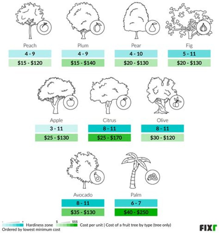 Is it healthy to top a tree