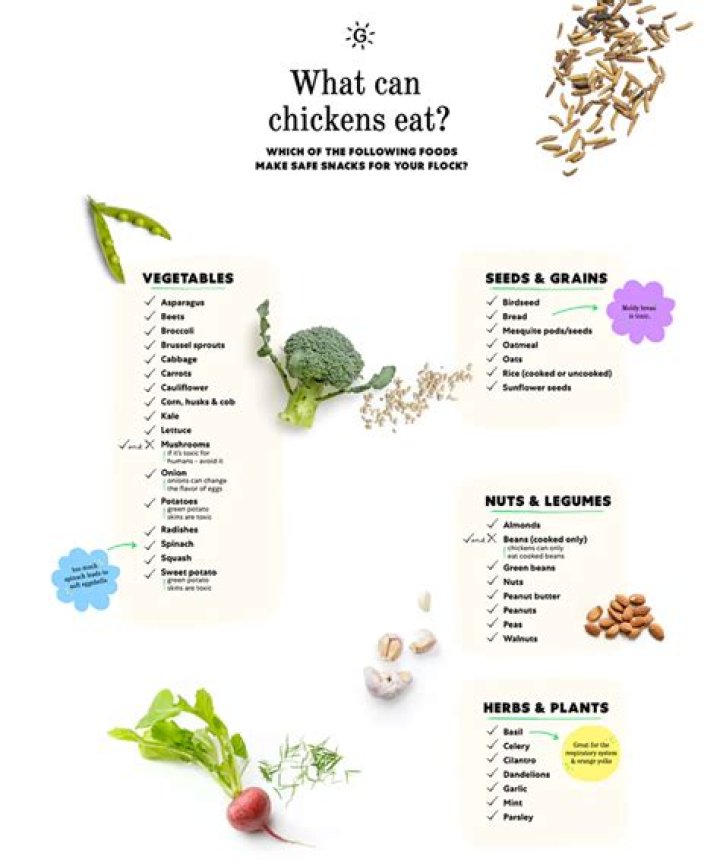 Is it safe to eat organic chicken