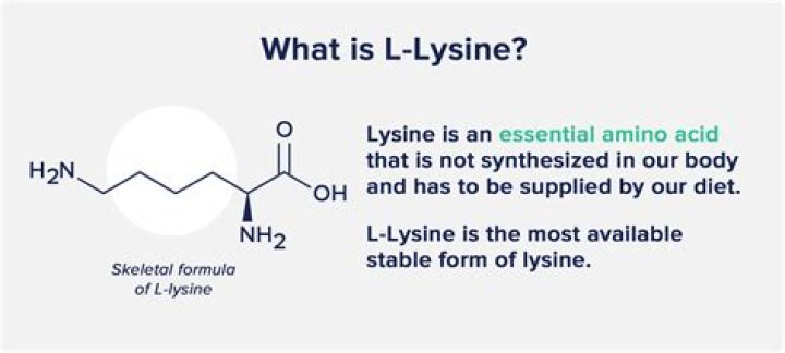 Is L Lysine same as lysine