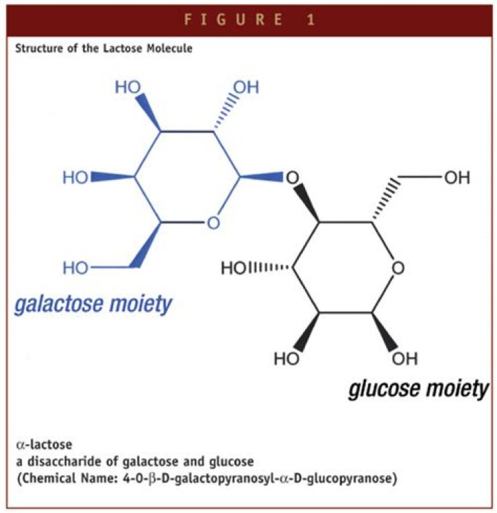 Is lactose used as diluent