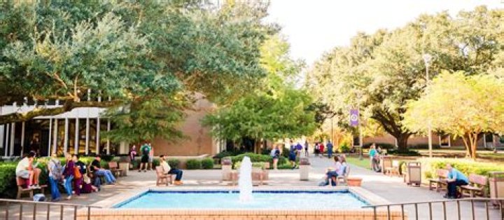 Is Lsue a community college