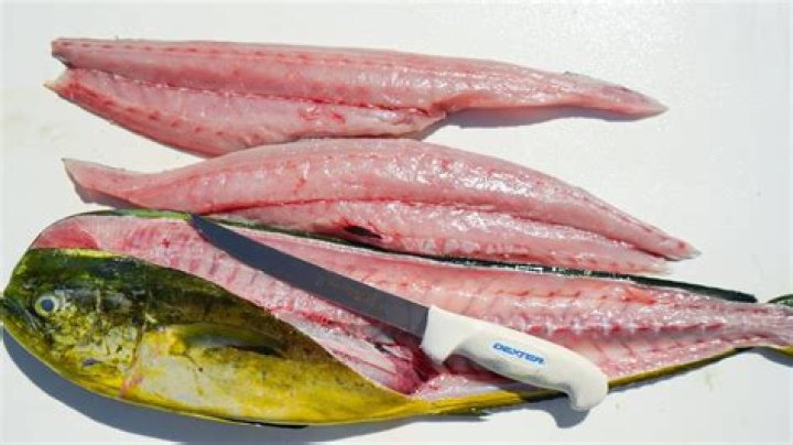Is mahi mahi dolphin meat