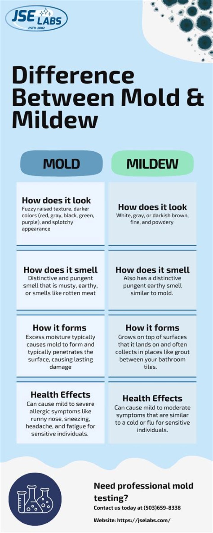 Is mildew as bad as mold