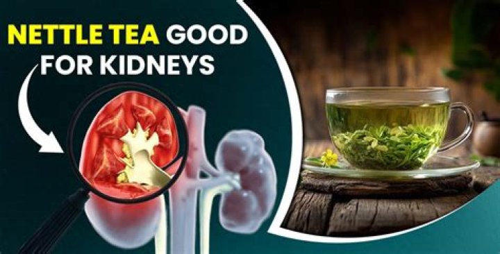 Is Nettle good for kidneys