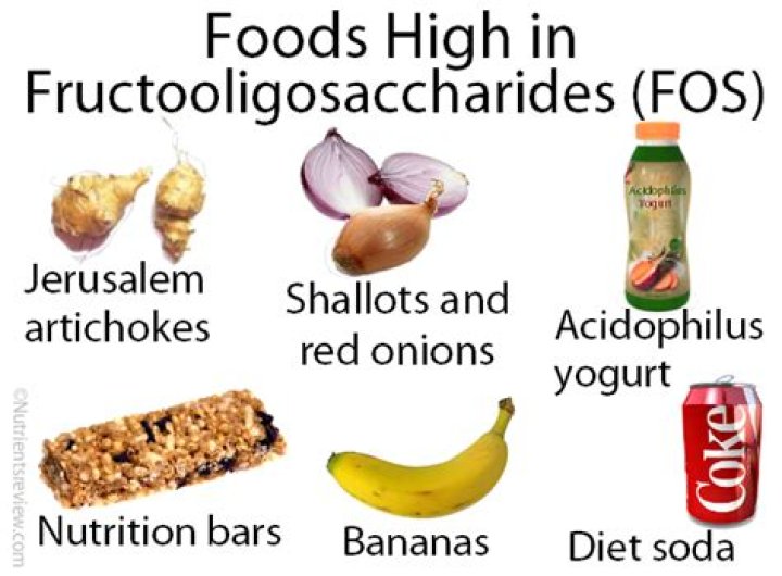 Is oligofructose unhealthy