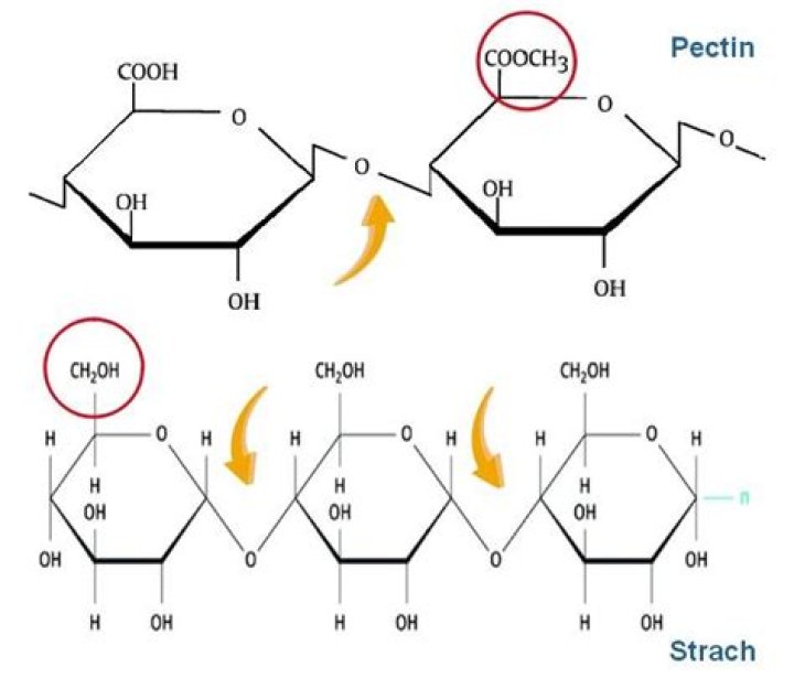 Is pectin a starch or fiber