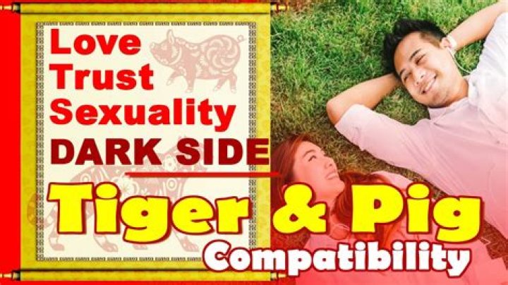 Is Pig and Tiger compatible
