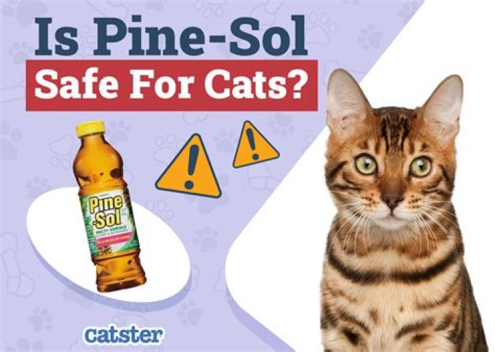 Is Pine Sol harmful to cats