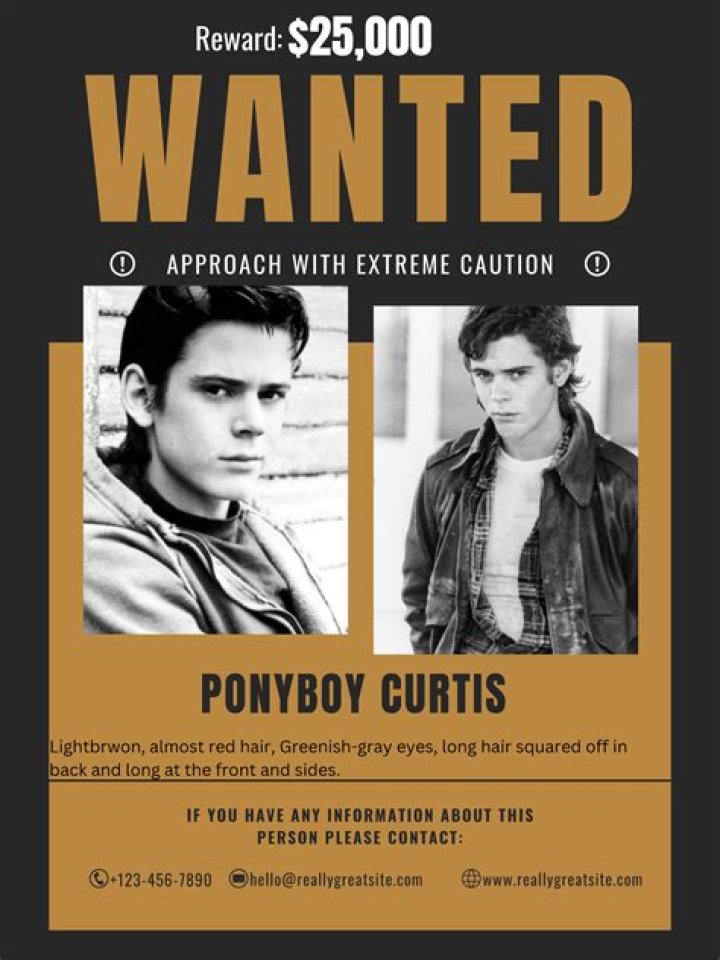 Is ponyboy Curtis reliable