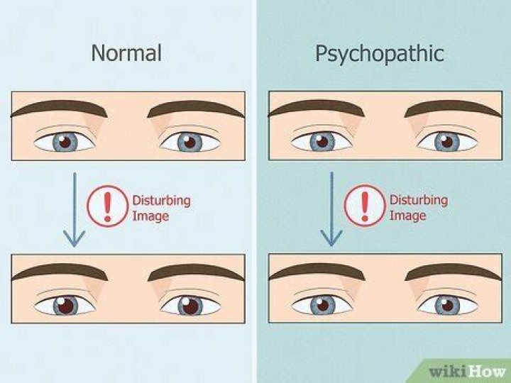 Is psychopathy a real thing