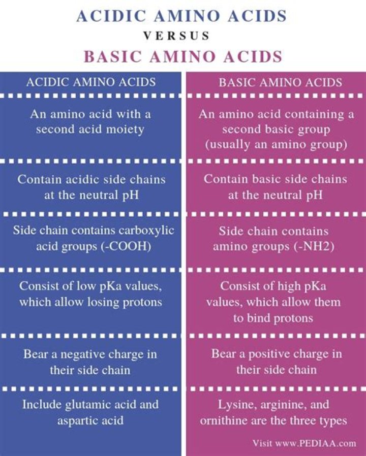 Is ranitidine basic or acidic