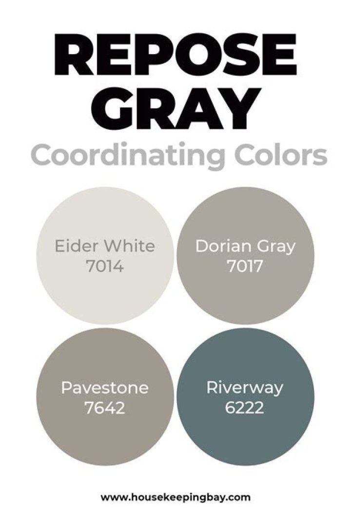 Is Repose Gray a warm color