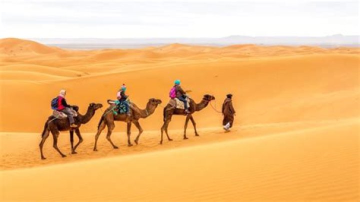 Is riding a camel uncomfortable