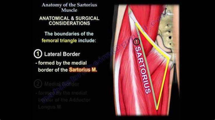 Is sartorius an antagonist
