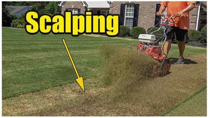 Is scalping good for lawns