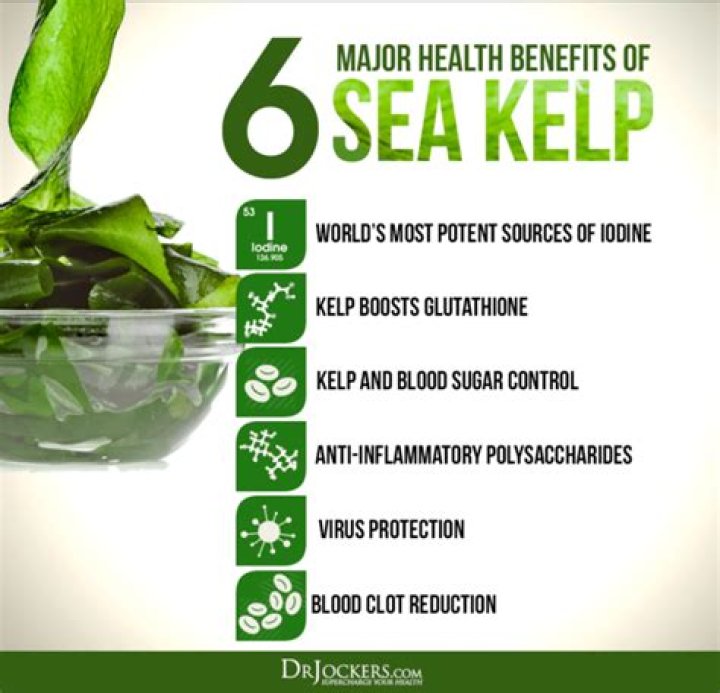 Is sea kelp good for plants