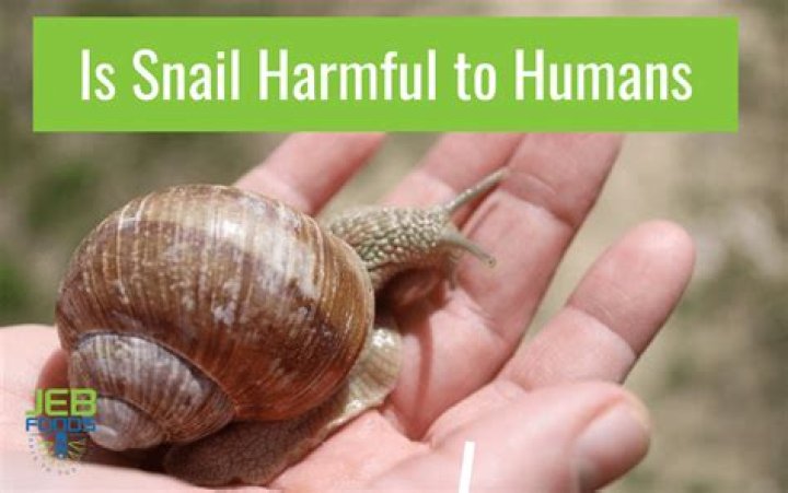 Is snail harmful to plants