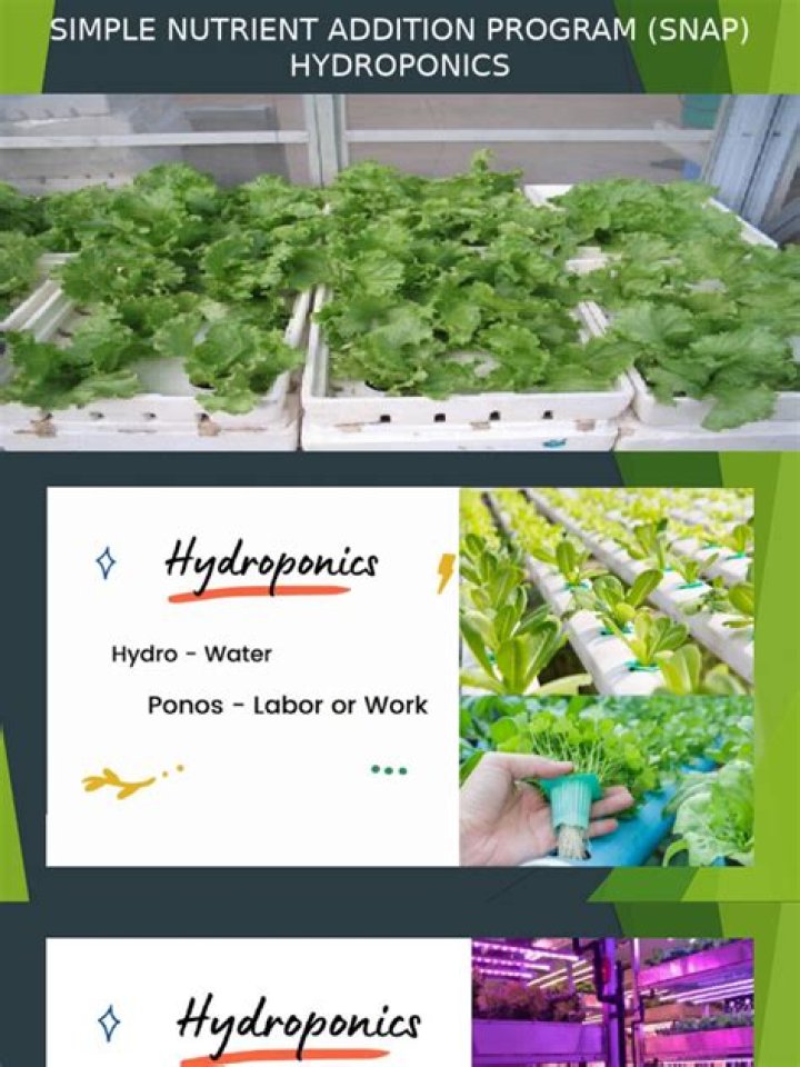 Is SNAP hydroponics organic