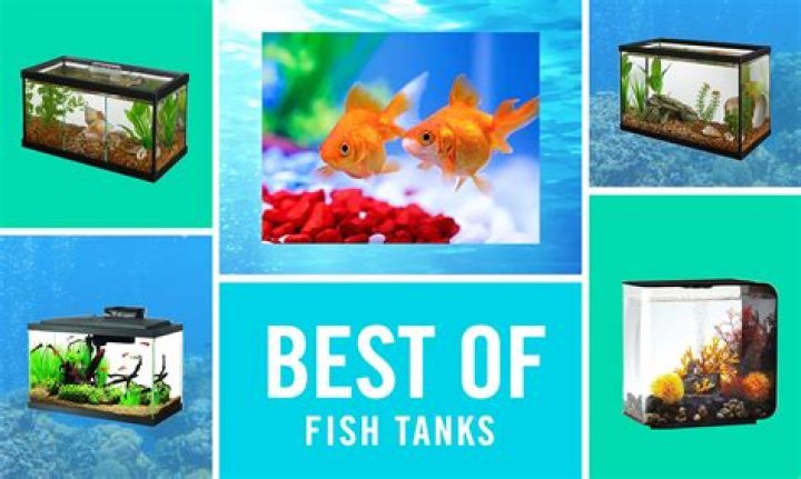 Is soft water OK for fish tanks
