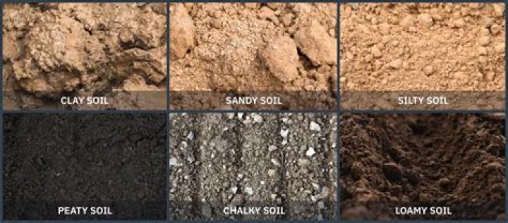 Is soil the same everywhere