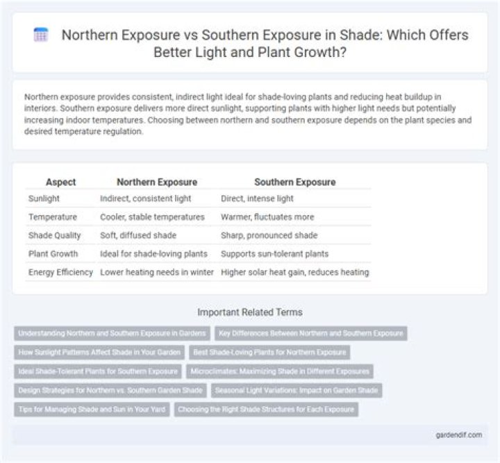 Is Southern Exposure better