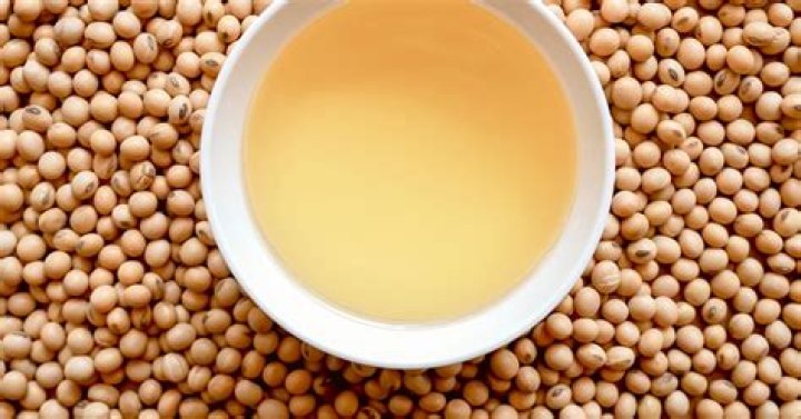 Is Soybean good for adults