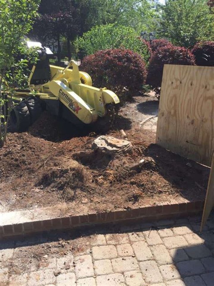 Is stump grinding dangerous