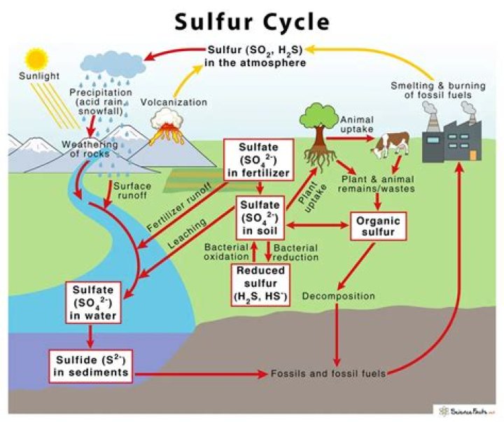 Is sulfur harmful to humans